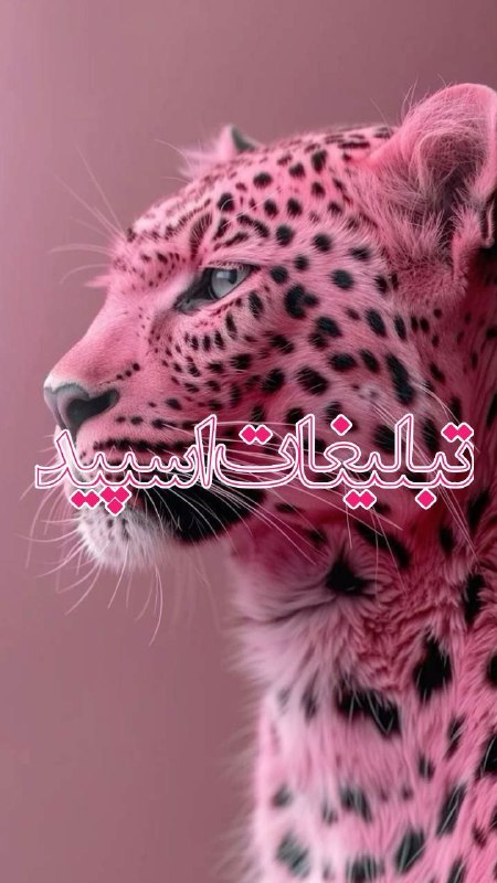 گروه دخترونه دوستیابی زنجان: ❶﹚ نام : پاتوق دوستان❷﹚ نو؏ تبلیغات : #telegram❸﹚ توضیحات :گروه خاص🤩مالکش طلاست👑ممبراش بلاست🥰ادمینهاباکلاس♥️ازهمه شهرهات
