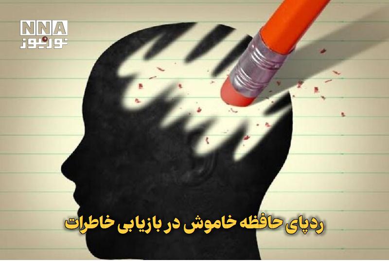 نورنیوز: ✅ ردپای حافظه خاموش در بازیابی خاطرات🔹 پژوهشگران سوئیسی با بررسی مگسهای میوه، شواهد جدیدی را از چگونگی بازگشت و تغییر خ