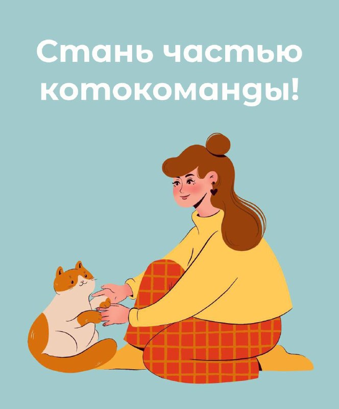 МЫ ИЩЕМ ПОМОЩНИКОВ — фото 1