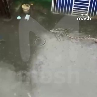 Питоны плывут по улицам Бали — с началом сезона дождей в пляжных районах объявили наивысший уровень погодной опасности. Вода на острове поднялась выше колен — туристы пересаживаются на надувные лодки и сап-борды.Местные россияне рассказали Mash, что послед