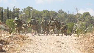 ניצן שפירא