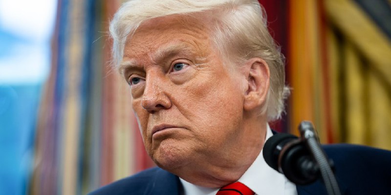 Polls show how Democrats can hurt Trump. If only they would pay attention.