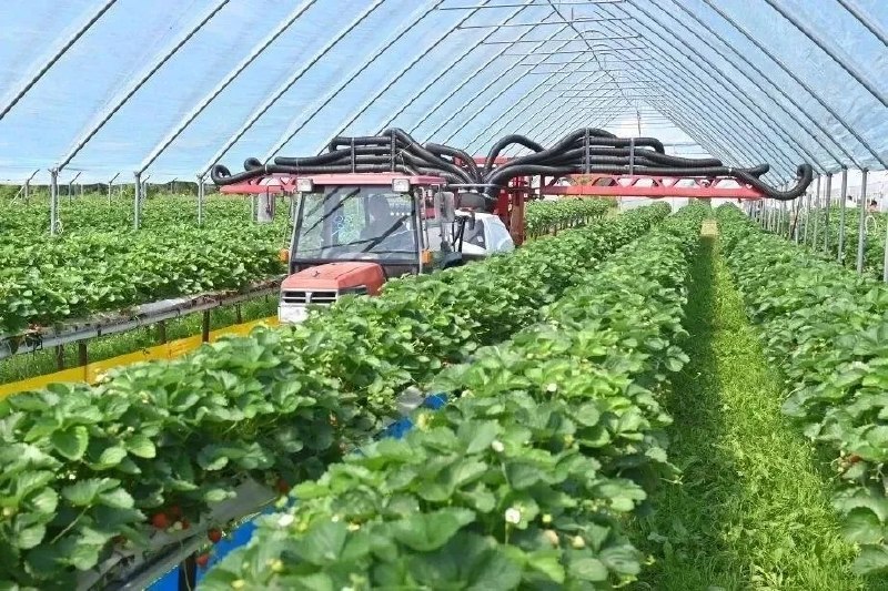 16 חקלאים משבעה מחוזות בטריטוריית חברובסק קיבלו תמיכת מדינה השנה קיבלו 16 חקלאים משבעה מחוזות בטריטוריית חב…