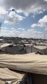 Mosques are destroyed, but the Koran remains alive in hearts... a festive echo for the end of memorizing the Book of God in the Gaza Strip amid conditions of war and displacement.