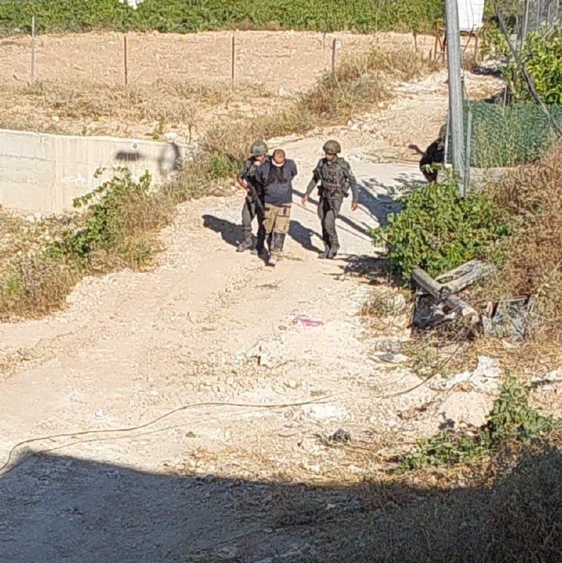 רשת חדשות ירושלים