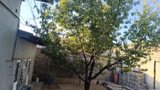 Toshkent shahar Sergeli Honabod 1 lina.Uy sotiladi 5 xona 5 sotix.