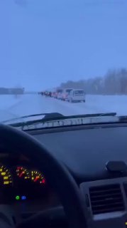 Депутат заксобрания Новосибирской области, единоросс Денис Субботин извинился перед жителями региона за массовый забой и изъятие скота.   Фермеры, лишившиеся животных, пришли в парламент, где их встретил глава аграрного комитета.   «Понимаю, что мы как вла