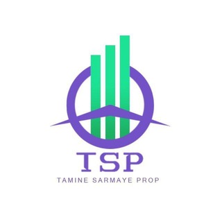 گروه تامین سرمایه (TSP)