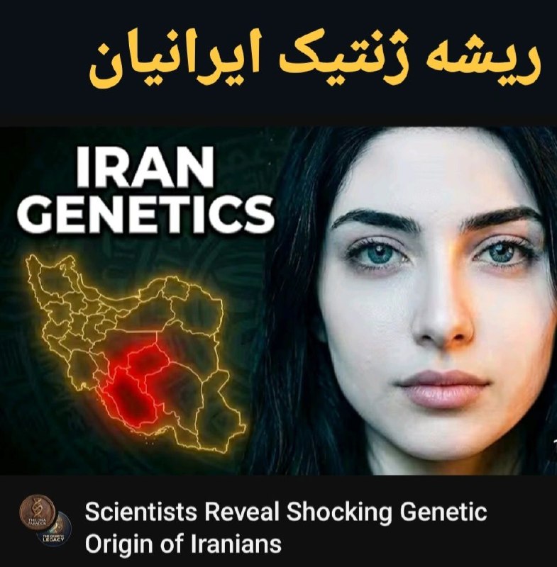 بنیاد جهانی سبک زندگی سالم: رسانه پست