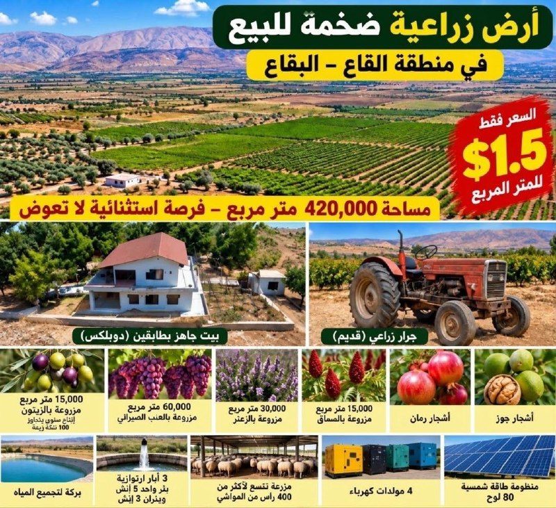 For those interested in agricultural investment... An investment opportunity at an exceptional price in the Alkaa - Bekaa area.