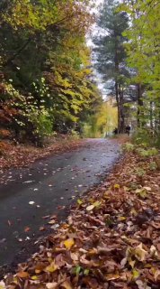 ДТП во время ралли