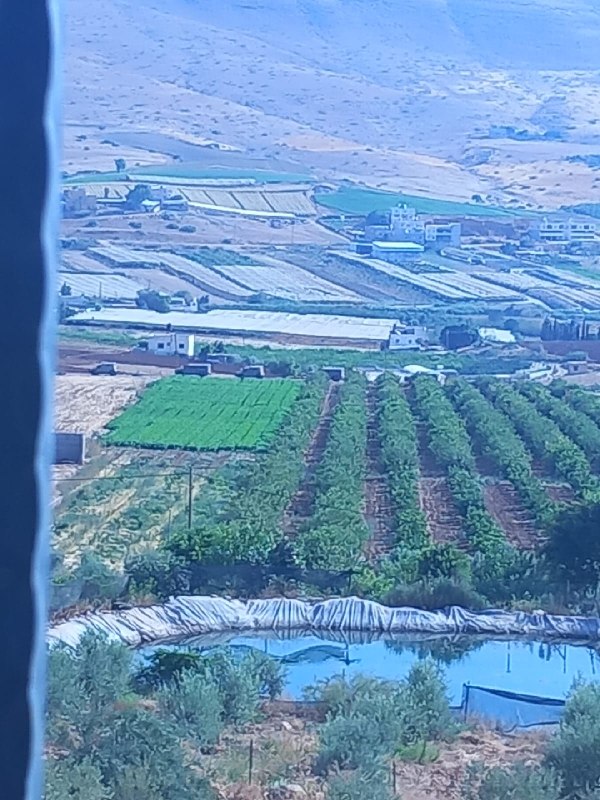 רשת חדשות ירושלים