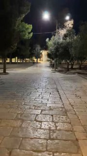 תחנונים דתיים מחצרות מסגד אל-אקצא יתברך, עם עלות השחר היום