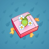 Berry Box #202