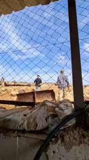 מתנחלים תוקפים אנשים בבתיהם בח'רבת אל-ח'ראבה, מזרחית לעיירה אל-סמו, דרומית לחברון.