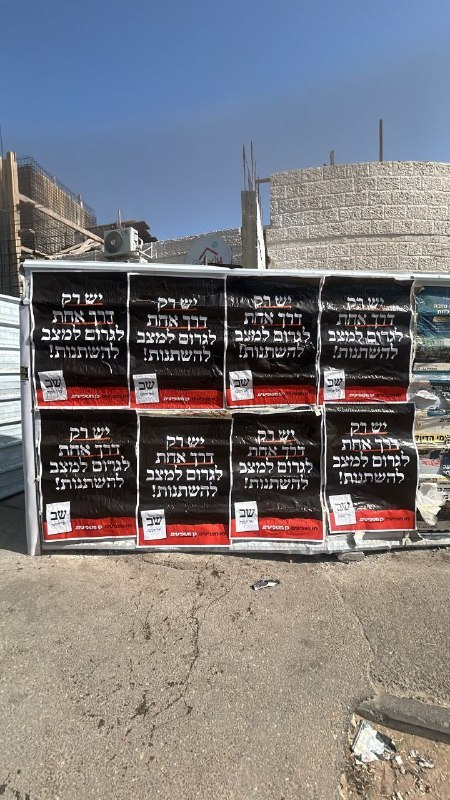 אלי הירשמן