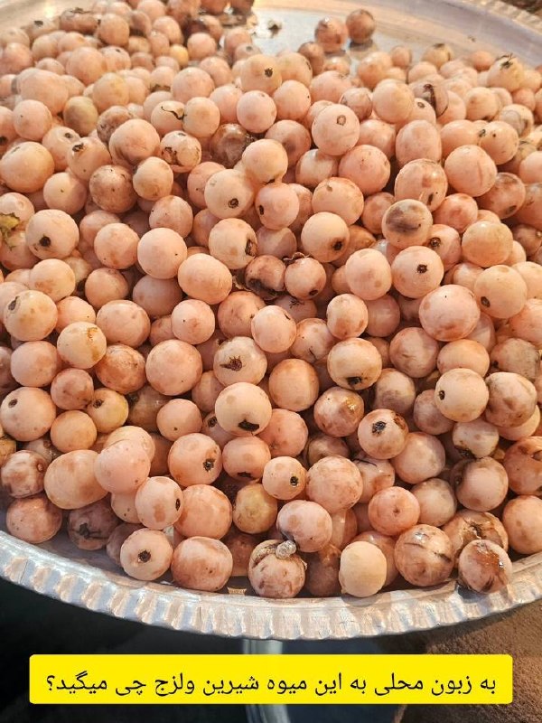 اخبار فارس: ♦️به این میوه شیرین و پر خاصیت به زبان محلی چی می گویید؟پاسخ خود را برای ما بفرستید 👇 @Ertebat_ba_fars