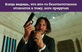 Сегодня отмечается Всемирный день животных.Показывайте своих, лайкайте чужих👇