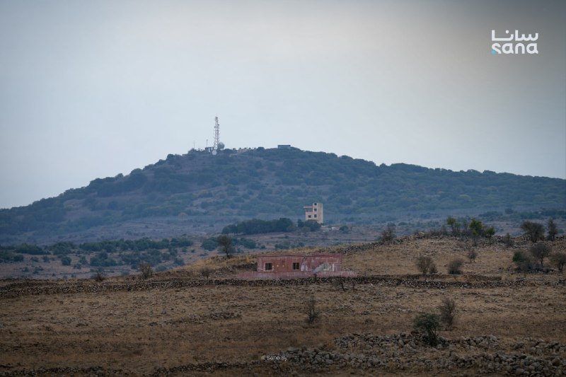 שדה הענבים ממתין לבעליו... 16 חודשים לאחר שישראל עצר את הצעיר, אחמד אל-חוסיין