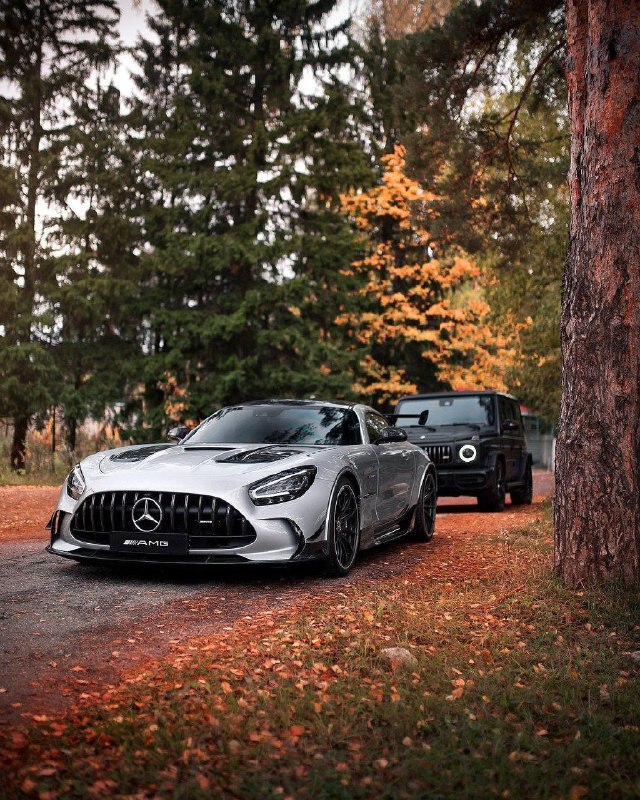 Mercedes Benz