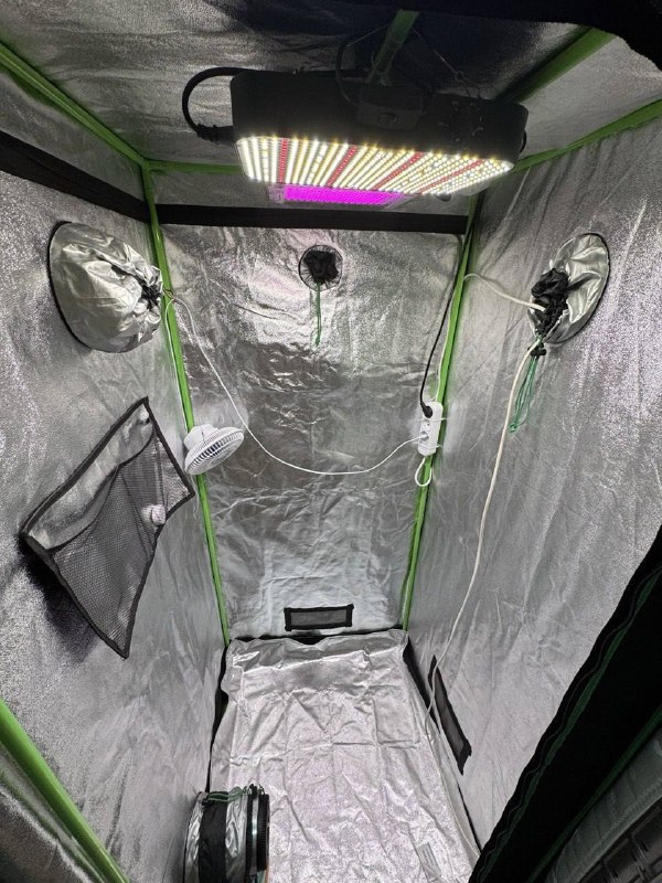 Продам гроубокс, размер: 80x80x160 см