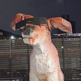 Собака-писака🐶
