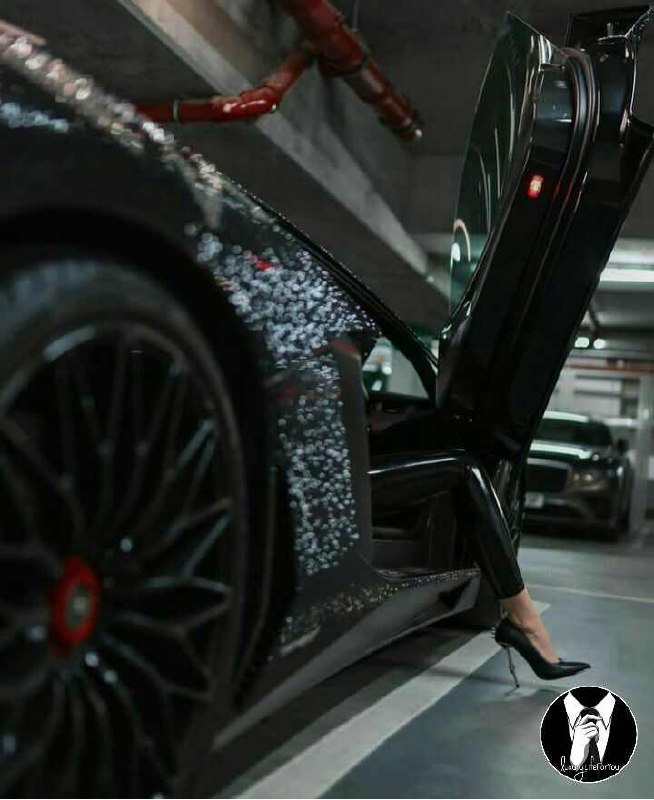 🌟💎LuXury Life💎🌟: 🇬🇧If I can survive the war that I battle with myself I can survive anythingاگه بتونم از جنگی که باخودم میکنم جون سالم ب