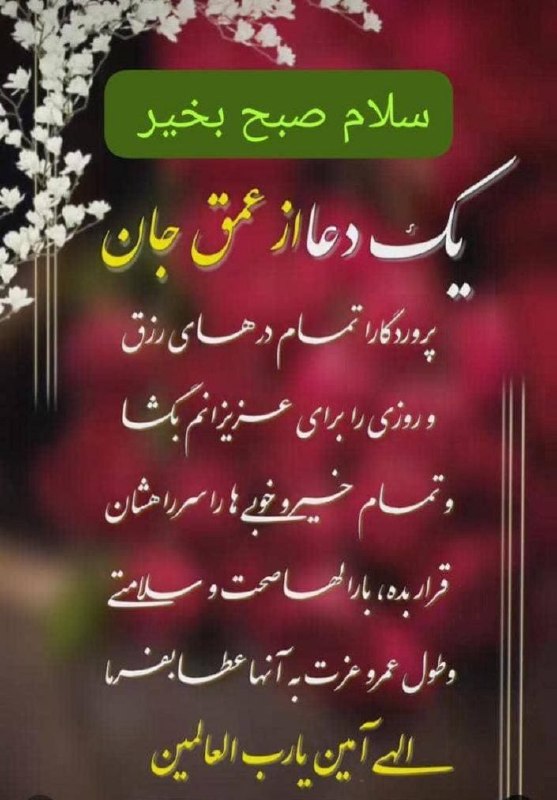عشق يعنى 😷: سلام صبح بخیر 🫆🫆🫆🫆@Loveispublic