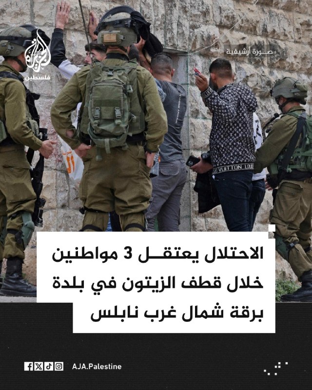 כוחות ישראל עוצרים 3 אזרחים במהלך מסיק הזיתים בעיירה בורקה, צפונית מערבית לשכם.