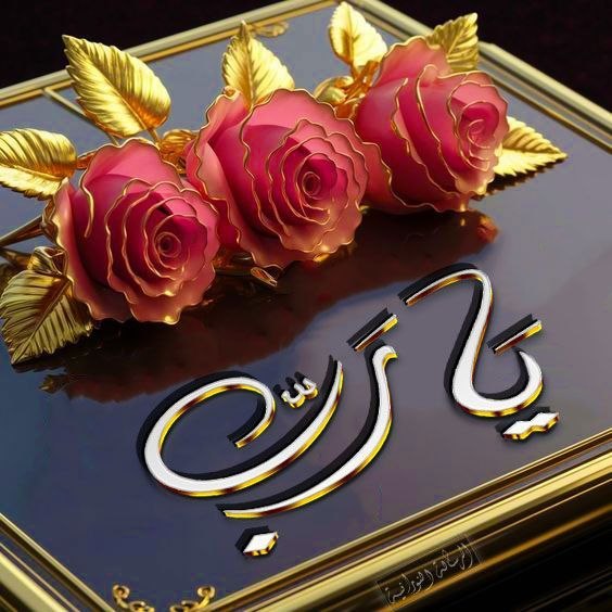❤️قُنِأَةَ َآلْﯙلْأَيُهُ فيُ حَبَ أَلْأَمَأَمَ عُلْيُ ❤️: 🤲 اللَّهُمَّ اجْعَلْ صَبَاحَنَا نُورًا، وَقُلُوبَنَا طَاهِرَةً، وَأَيَّامَنَا مَبَارَكَةً بِذِكْرِكَ وَطَاعَتِكَ.