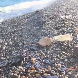 Разлившийся в Чёрное море после атак ВСУ на Туапсе мазут добрался до пляжей Крыма — волонтёры и специалисты держат ситуацию на контроле и оперативно убирают сгустки. По данным Mash, больше всего нефтепродуктов прибило к берегам Севастополя. Чёрную жижу у м