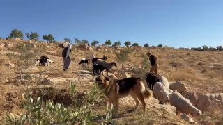 רשת חדשות ירושלים