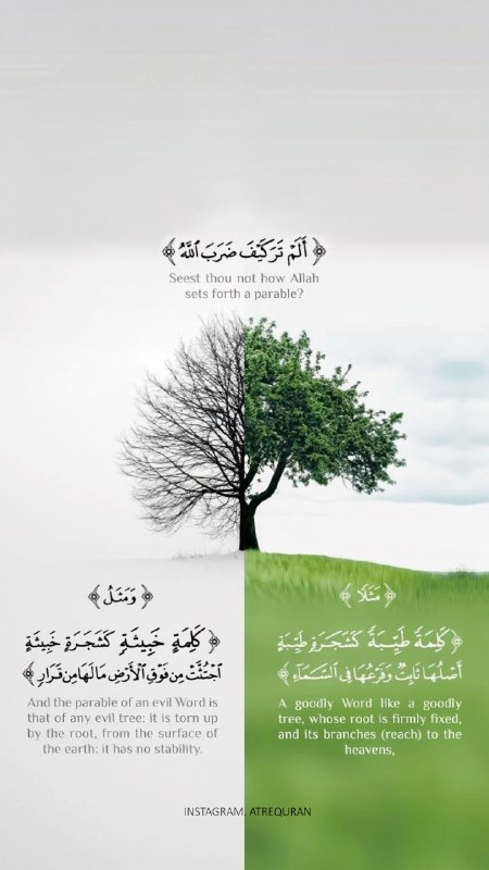 عطر قرآن: #عکس_نوشته_قرآنیآیه 24 سوره ابراهیم👇أَلَمْ تَرَ كَيْفَ ضَرَبَ اللَّهُ مَثَلًا كَلِمَةً طَيِّبَةً كَشَجَرَةٍ طَيِّبَةٍ أَ