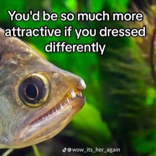 Tinder Memes Telegram Group Link