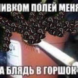 дейли смехуятина экспресса