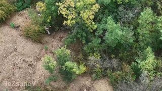 הנה הם, מגויסים בריאים. הרימו ידיים והתמסרו הסודות של וינקוס | מוזיקה | וידאו