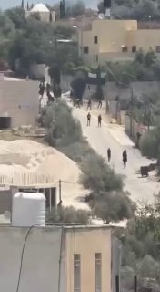 צעירים מתעמתים עם התקפת המתנחלים על הכפר פרעתא, מזרחית לקלקיליה.