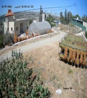 מתנחלים התפרעו בסמוך לבתי פלסטינים בח'רבת מסעוד