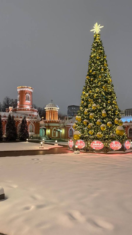 Иммерсивный спектакль Щелкунчик в Петровском путевом дворце для идеального вечера. Исторические интерьеры стали наконец теми самыми, совершенными д... - изображение 1 - вечера, иммерсивный, спектакль