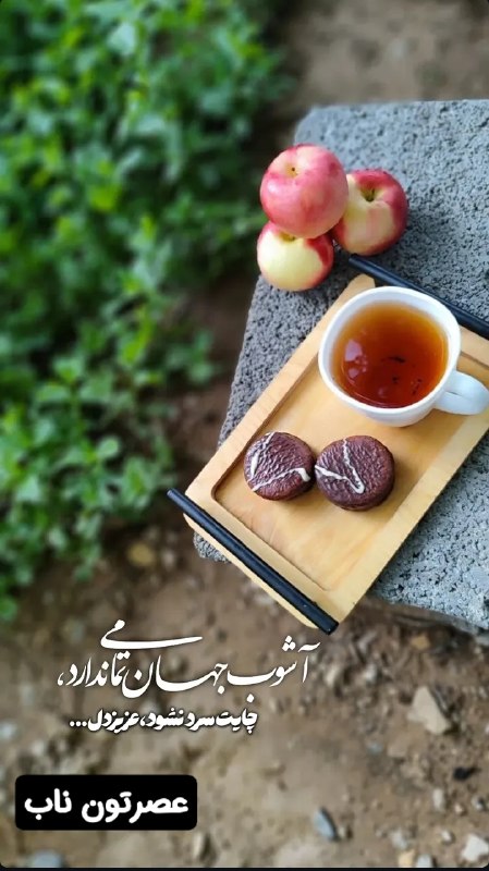 💓خوشگلترین عکس نوشته،زیباترین تبریکات واستوریهای اینستایی،کلیپهای بروز، طنز، والپیپر،شکرگزاری،تولد،انگیزشی،صبح،عصر،شب بخیر،💓: آشوب جهان تمامی ندارد، چایت سرد نشود عزیز دل.... #عصرتون_بخیروخوشی.. ☕️🌿🌼@mersikehastiyproآشوب جهان تمامی ندارد، چایت سر