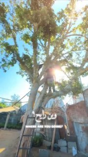 Gazans share breakfast made from local crops amid blockade