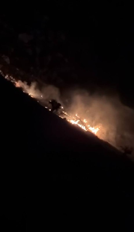 שריפה פרצה סמוך למאחז ההתיישבות החדש שהקימו מתנחלים באדמות טל אלאשור, מזרחית לרמאללה.