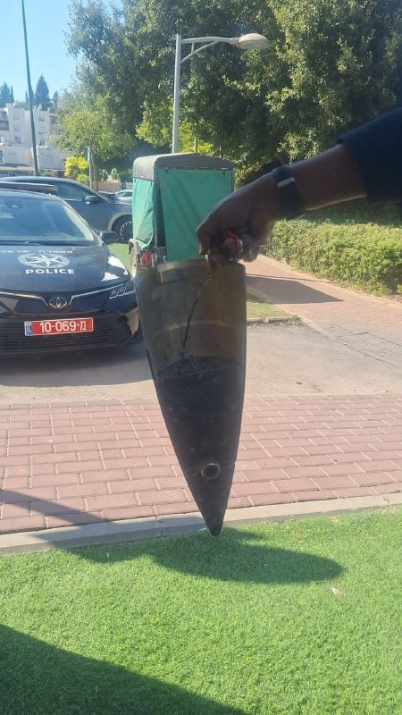 אור רביד