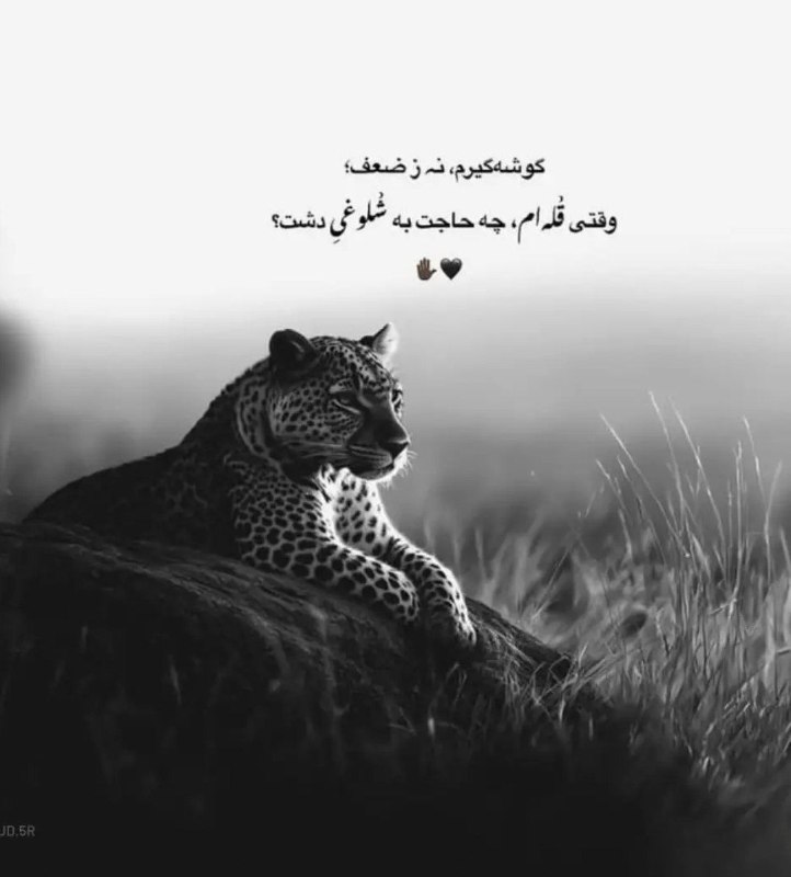 🎆🎀 فتونایس 🎀🎆: گوشه گیرم نه ضعیف.....#عکس_نوشته 🌺🍃@photoniceee✿࿐༅࿇༅࿐✿
