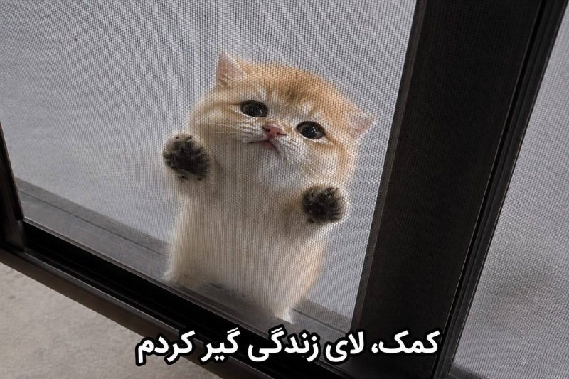 یِ دانش آموز: 🔴تابستان خود را چگونه گذراندید؟اول تا آخر منتظر بودم…منتظر تعویق امتحانات نهاییمنتظر تعویق کنکورمنتظر اعلام نتایجمنتظر ا