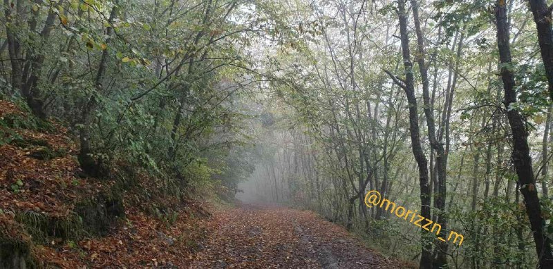 نوای مستانه● مطالب عرفانی ادبی هنری اقتصادی: 🍃Morningis the beginning of livinga deep breathof the freshest air of life...صبح آغاز زیستن استنفسی عمیقاز تازه ترین هوا