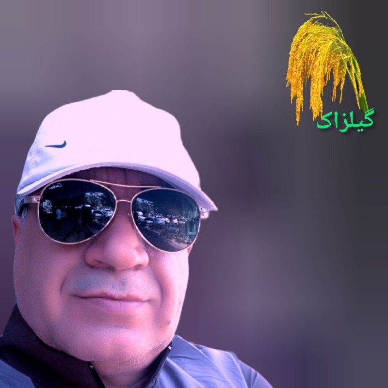 نشریه گیل رخ: ✅...سلام مهربان دوست من ✍️..نسیم صبحگاهی ، رازِ روشنایی صبح را در گوشِ برگ ها زمزمه کند ؛ و قطراتِ شبنم ، چون اشکِ شوق،