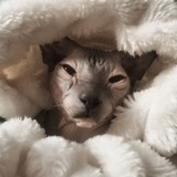 ##2ноль1шесть щитпост лимана