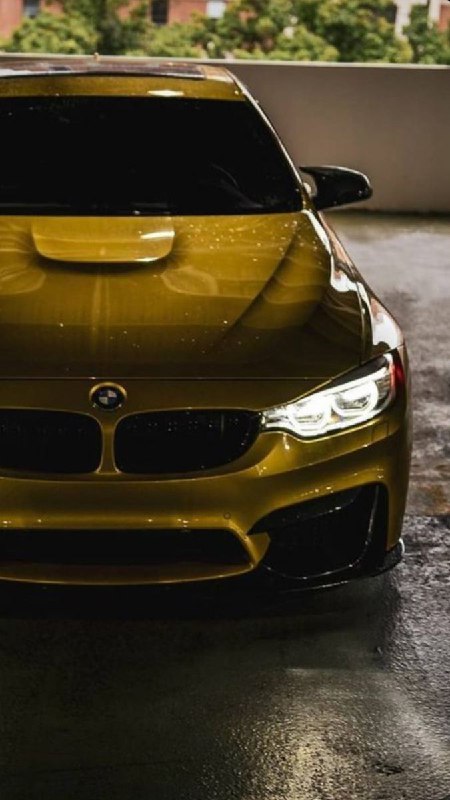 https://t.me/bmw_mpower_club
