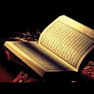 Telegram profile photo for Mulk. Taborak surasi